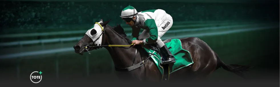 新闻联播,首播,爱游戏app,爱游戏app,爱游戏官网,爱游戏体育官网,爱游戏体育app