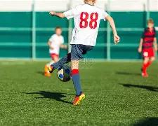 猛龙教练斥,无礼,反问,爱游戏app,爱游戏官网,爱游戏体育官网,爱游戏体育app